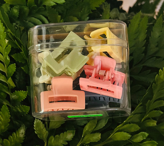 Mini Claw Clips